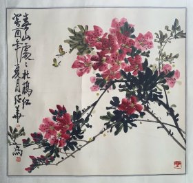张绍华（春）