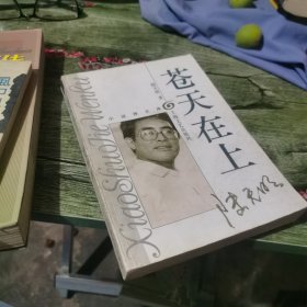 苍天在上