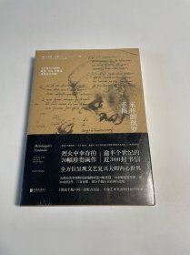 米开朗琪罗手稿 : 文艺复兴大师的素描、书信、诗歌及建筑设计手稿