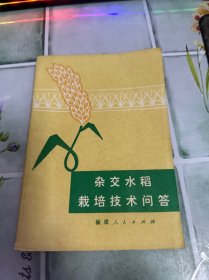杂交水稻栽培技术问答