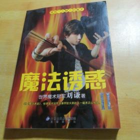 魔法诱惑II