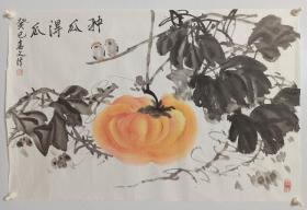 有几个小裂，纯手绘国画作品字画书画条幅 寓意好画工精湛品相佳 纯手绘南瓜图