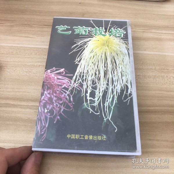 艺菊栽培 录像带