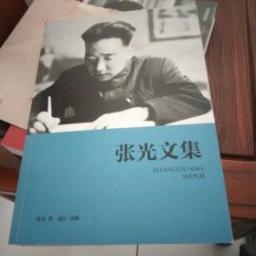 张光文集
