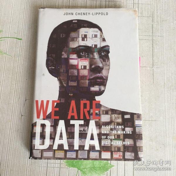 We Are Data: Algorithms and The Making of Our Digital Selves 我们是数据 9781479857593