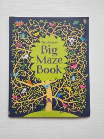 The usborne Big Maze Book