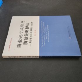 金融风险管理研究文库·商业银行风险及防范策略评估：基于多元化和周期性的视角