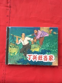 丁兴旺当家（上海人美50开精装小精）