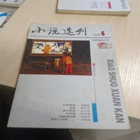 小说选刊 2013年6期 总337期