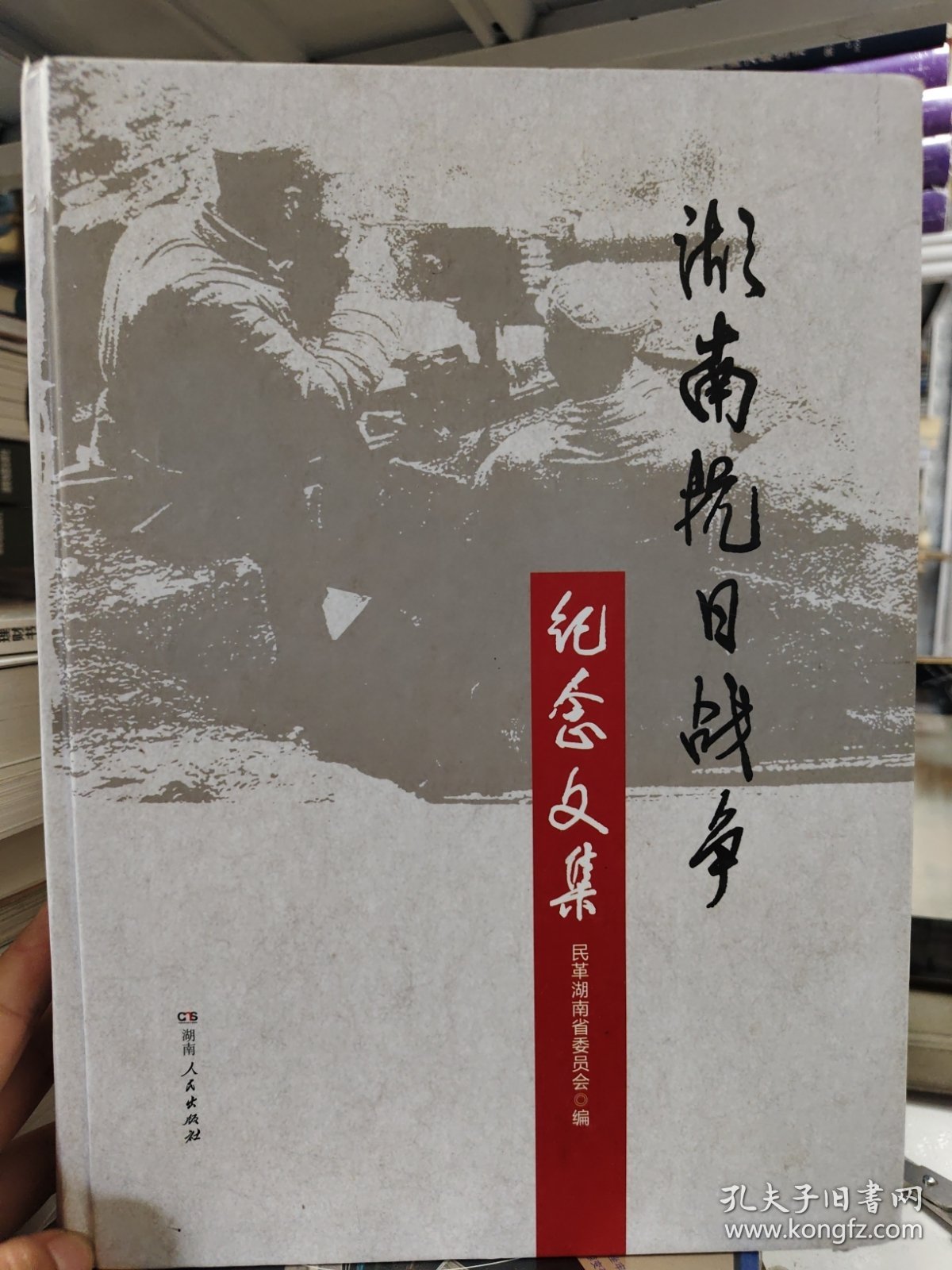 湖南抗日战争纪念文集
