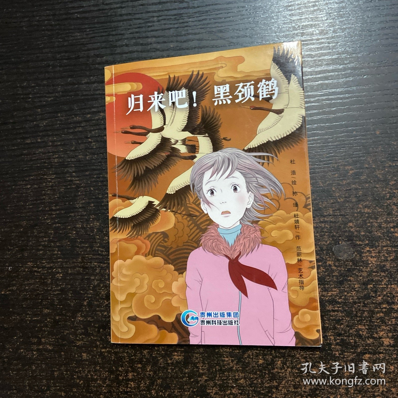 归来吧！黑颈鹤