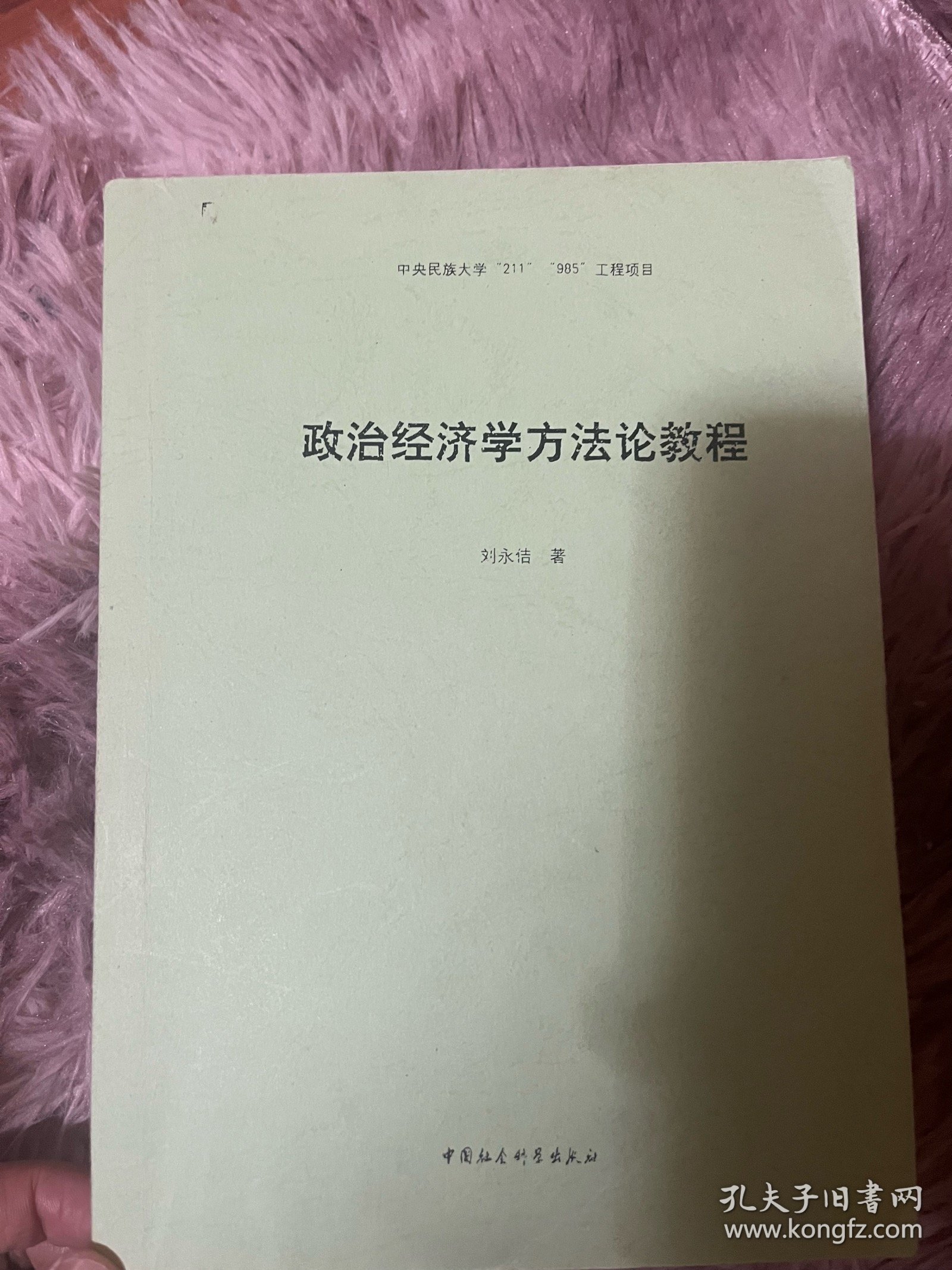 政治经济学方法论教程