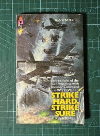 STRIKE HARD, STRIKE SURE 全力出击，精准制胜：轰炸机的传奇史诗