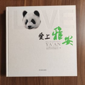 爱上雅安