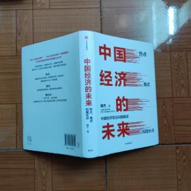 中国经济的未来：热点、难点和增长点