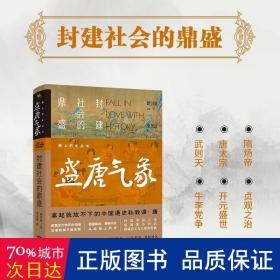 爱上历史系列丛书——盛唐气象：封建社会的鼎盛