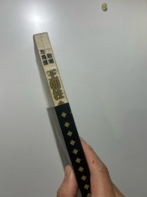 国民光高层内幕 联姻与 角逐 玉朝柱*自选集