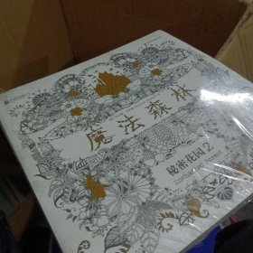 魔法森林：秘密花园2（未开封’