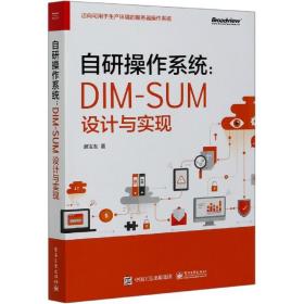 自研操作系统：DIM-SUM设计与实现(博文视点出品)