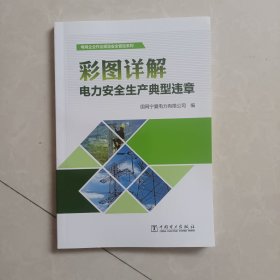 彩图详解电力安全生产典型违章