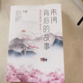 宋词背后的故事  （比肩飞花令   不仅仅是绝美宋词 更是一本故事书）