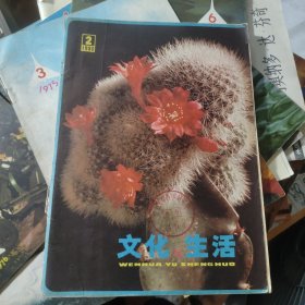 文化与生活 1980 2