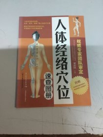 人体经络穴位速查图册