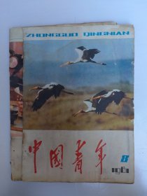 中国青年杂志.八一年.5.8.11一12合订本