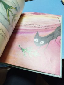 其实我是一条鱼