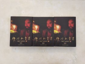 佛陀的智慧（全三册）