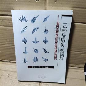 云南牙形類動物群:相關(guān)生物地層及生物地理區(qū)研究