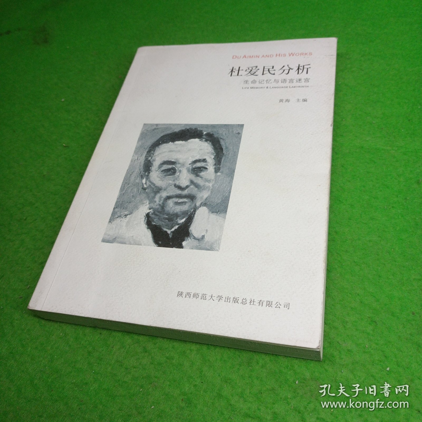 杜爱民分析生命记忆与语言迷宫