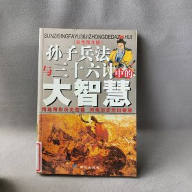 【正版二手】《孙子兵法》与《三十六计》中的大智慧