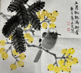 著名画家尚文光先生国画“五月枇杷满树金”41x41cm