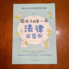 给孩子的第一本法律启蒙书（听北大法学硕士讲法制故事，孩子不可不知的法律常识。）