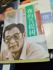 我的菩提树 1995年2版3印