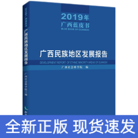 广西民族地区发展报告（2019年广西蓝皮书）——广西民族地区发展报告