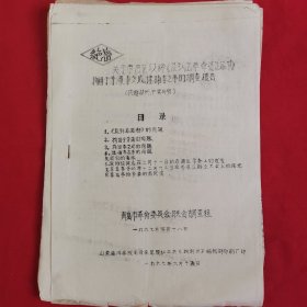 关于市南区取缔《反到底革命造反总部》拘留于芳蒲、李文成，逮捕李之亭的调查报告（油印宣传品共12页）