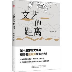 文艺的距离 中国现当代文学理论 梁晓声 新华正版