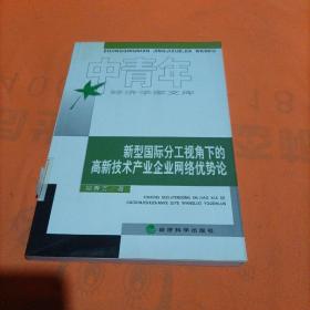 新型国际分工视角下的高新技术产业企业网络优势论