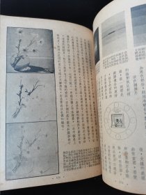 1953年《摄影入门》的姊妹篇《摄影入门续》陈怀德代表作。1950年初版初印，珍贵摄影文献史料，“信义相机材料行”像机，材料，冲洗，放大，广告，地址沈阳市和平区太原街区O号，红色印章，还有黄昌某藏书印章，名人收藏