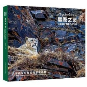 正版現(xiàn)貨高原之靈:青藏高原東部珍稀野生動(dòng)物:rare wild animals on the eastern Qinghai-Tibet plateau呂玲瓏9787572707735新華倉(cāng)庫(kù)多倉(cāng)直發(fā)
