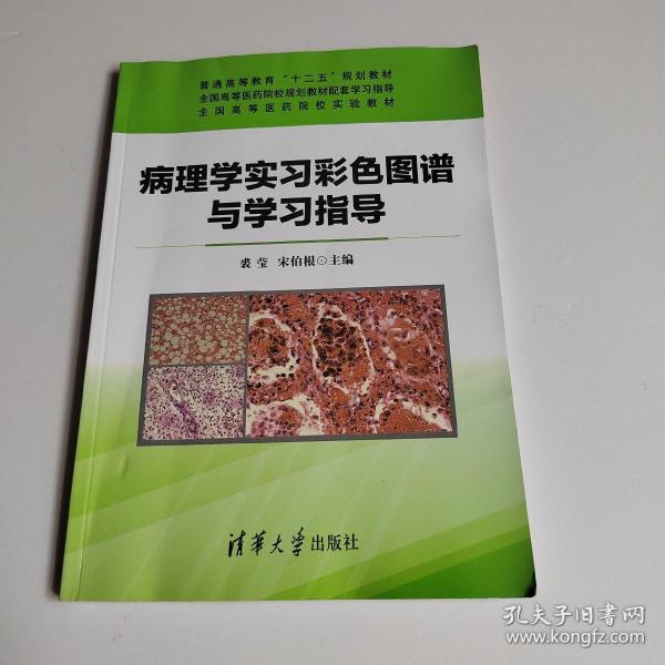 病理学实习彩色图谱与学习指导/普通高等教育“十二五”规划教材