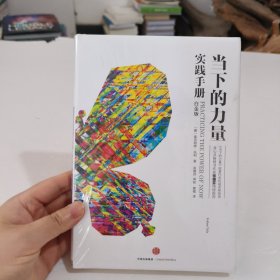 当下的力量实践手册（白金版）