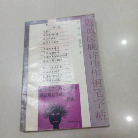 顾城朦胧诗佳作钢笔字帖