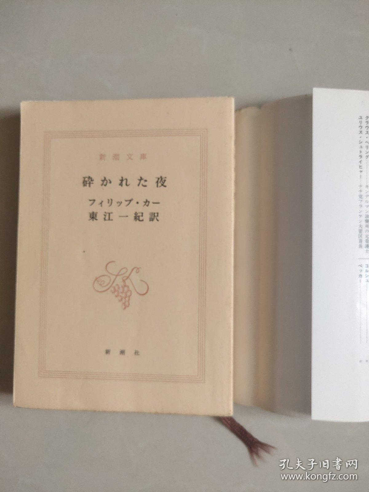 砕かれた夜 (日文原版)