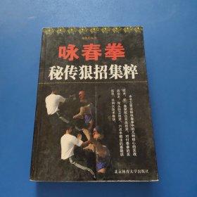 咏春拳秘传狠招集粹