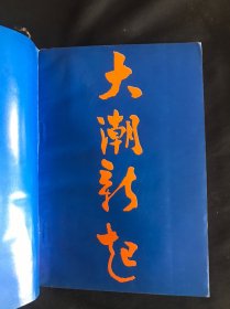 大潮新起：邓小平南巡前前后后