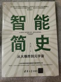 智能简史——从大爆炸到元宇宙