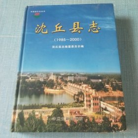 沈丘县志:1985~2000